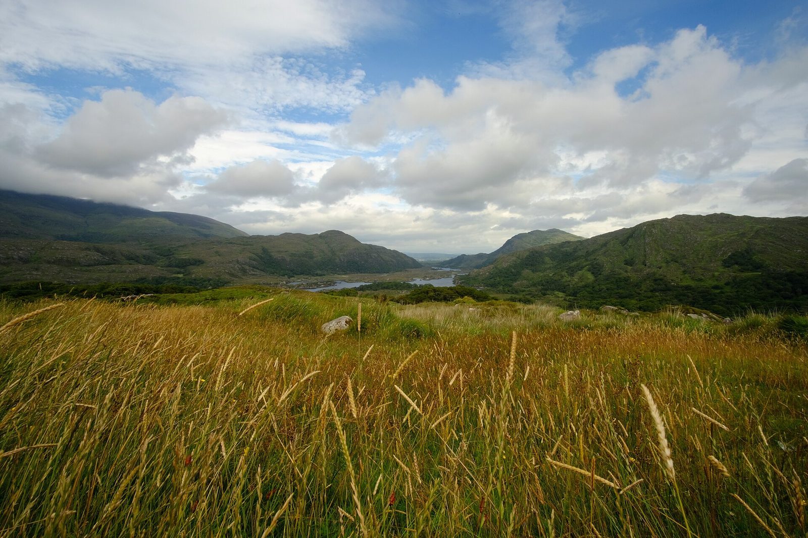 Ladies View im Killarney-Nationalpark